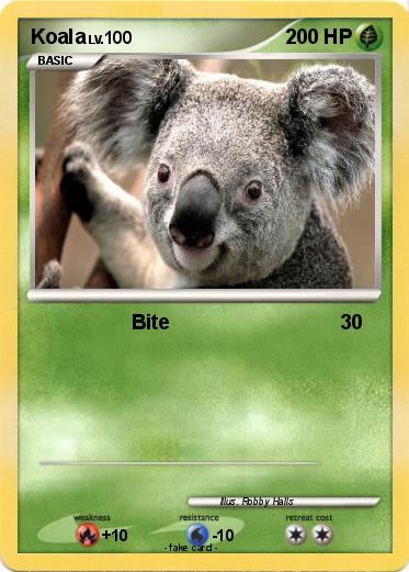 Pokemon Koala
