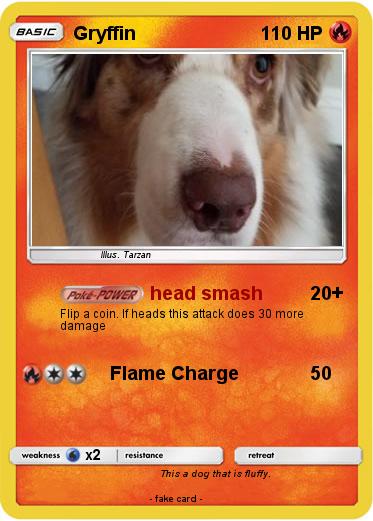 Pokemon Gryffin
