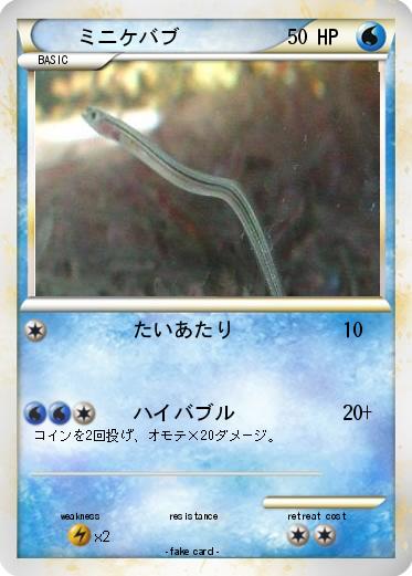 Pokemon ミニケバブ
