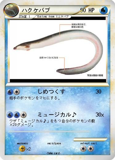 Pokemon ハクケバブ