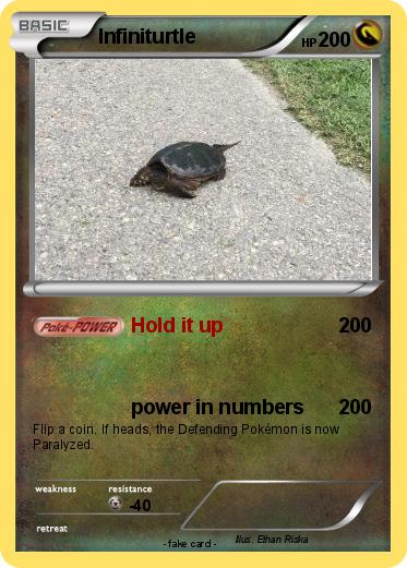 Pokemon Infiniturtle