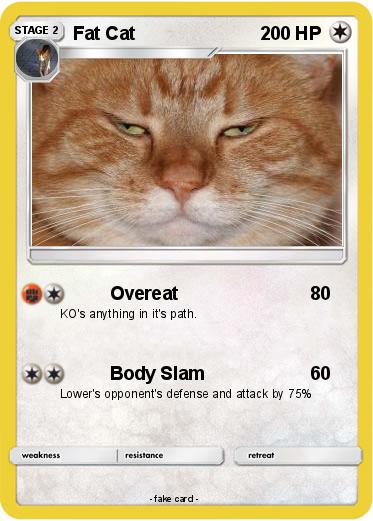 Pokemon Fat Cat