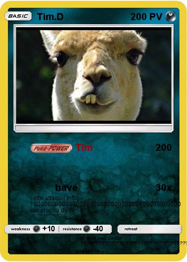 Pokemon Tim.D