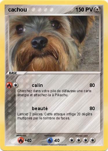 Pokemon cachou