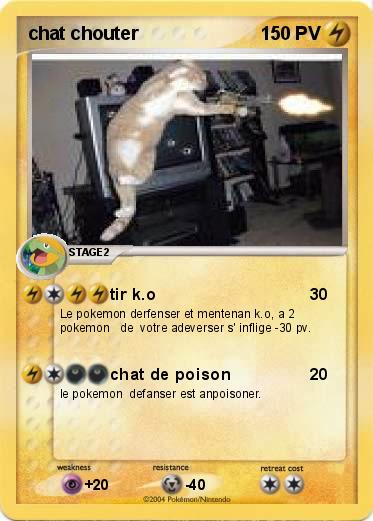 Pokemon chat chouter