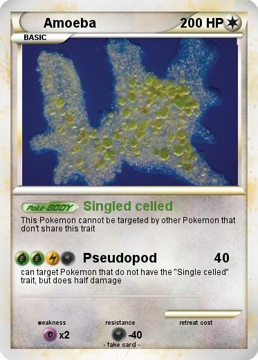 Pokemon Amoeba