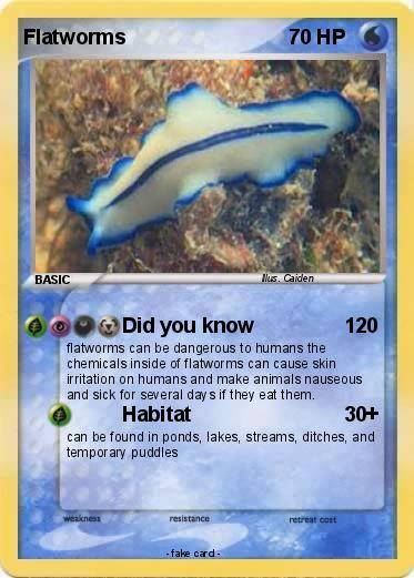 Pokemon Flatworms