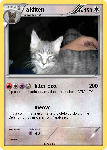 Pokemon a kitten