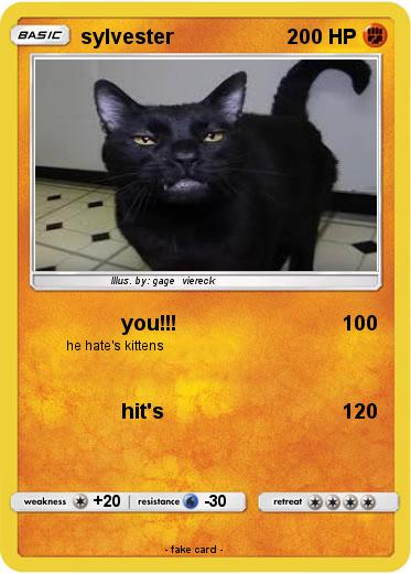 Pokemon sylvester