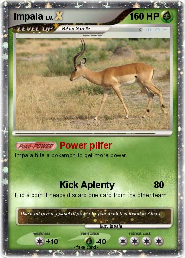 Pokemon Impala