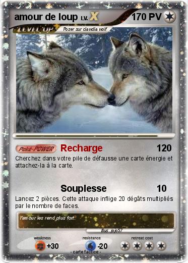 Pokemon amour de loup