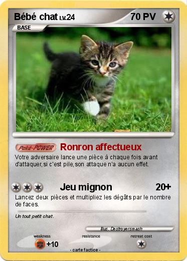 Pokemon Bébé chat