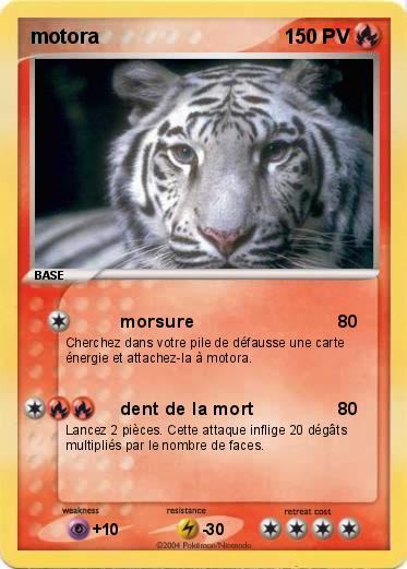 Pokemon motora