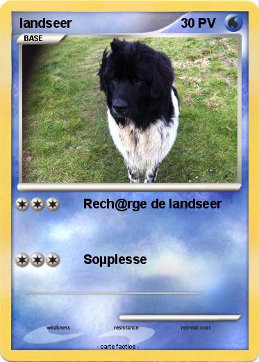 Pokemon landseer