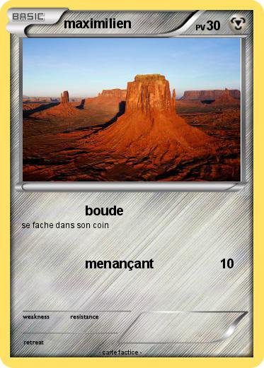 Pokemon maximilien