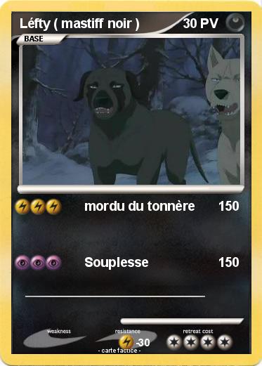 Pokemon Léfty ( mastiff noir )