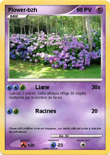 Pokemon Flower-bzh
