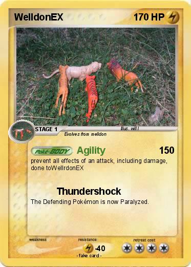 Pokemon WelldonEX