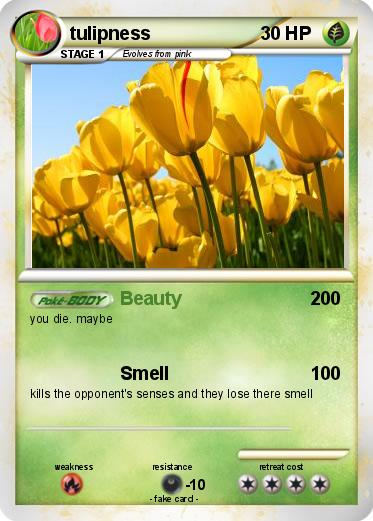 Pokemon tulipness