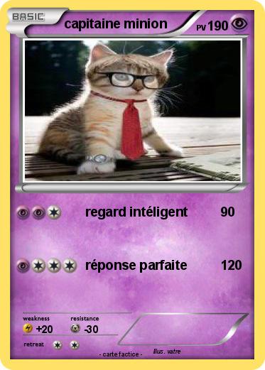 Pokemon capitaine minion