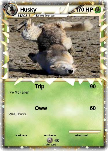 Pokemon Husky