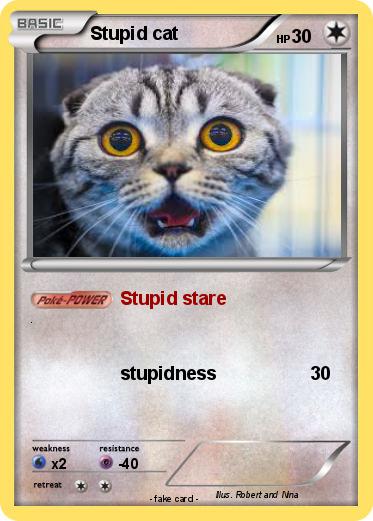 Pokemon Stupid cat