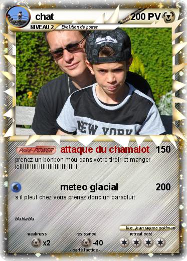 Pokemon chat