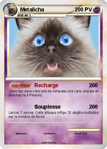 Pokemon Metalicha