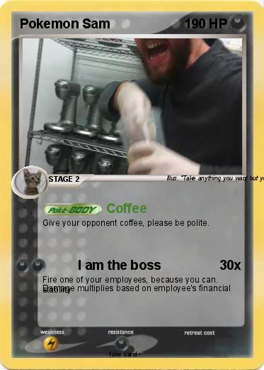 Pokemon Pokemon Sam