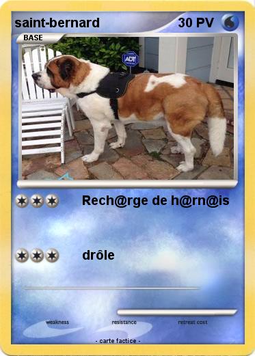 Pokemon saint-bernard