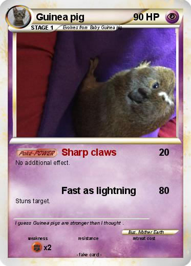 Pokemon Guinea pig