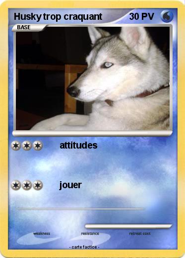 Pokemon Husky trop craquant