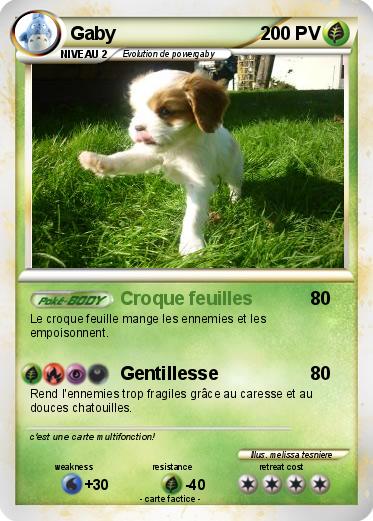 Pokemon Gaby