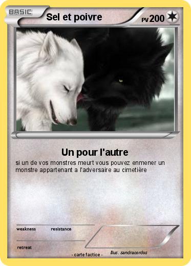 Pokemon Sel et poivre