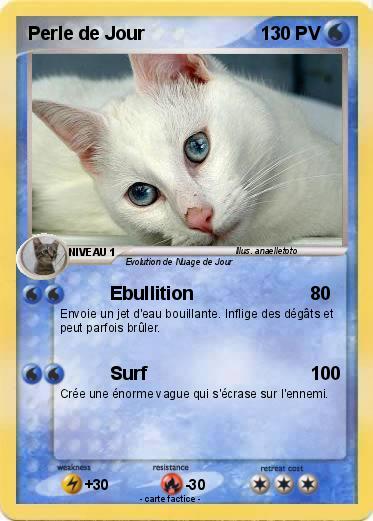 Pokemon Perle de Jour