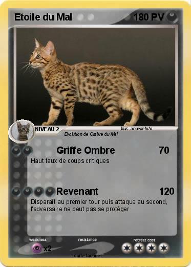 Pokemon Etoile du Mal