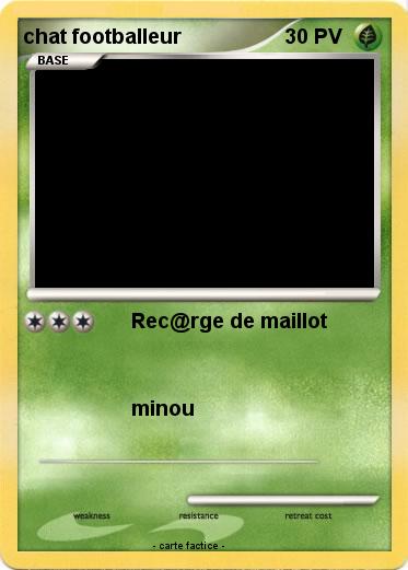 Pokemon chat footballeur