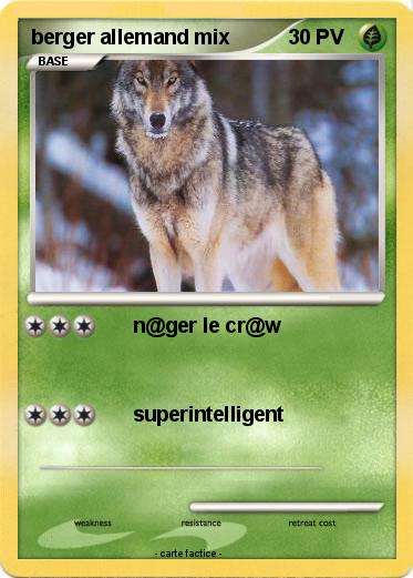 Pokemon berger allemand mix