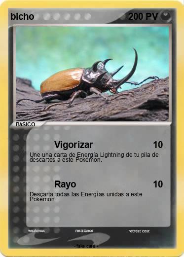 Pokemon bicho