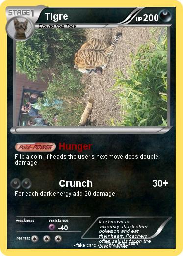 Pokemon Tigre