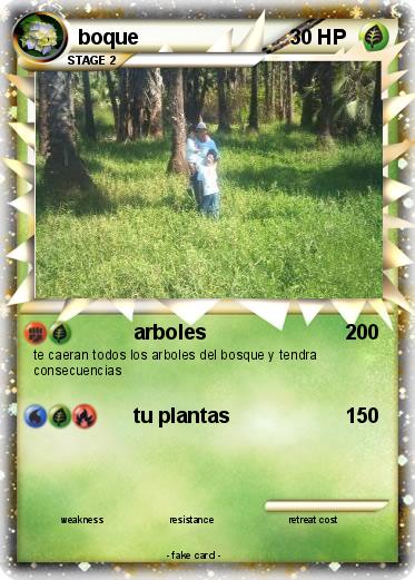 Pokemon boque