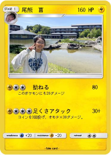 Pokemon 尾熊　菖