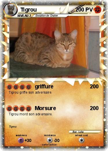 Pokemon Tigrou