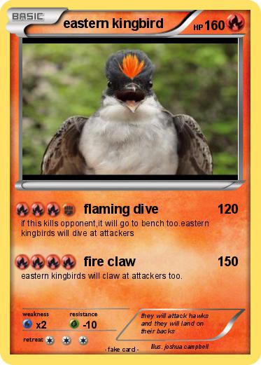 Pokemon eastern kingbird