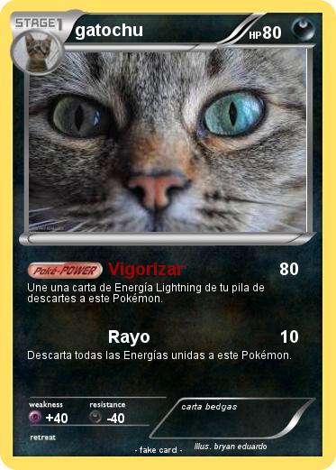 Pokemon gatochu