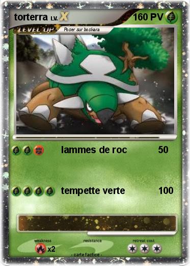 Pokemon torterra