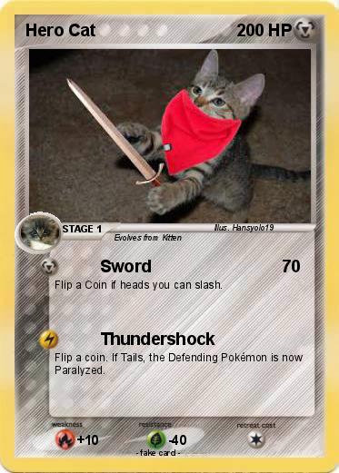 Pokemon Hero Cat