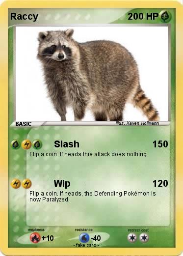 Pokemon Raccy