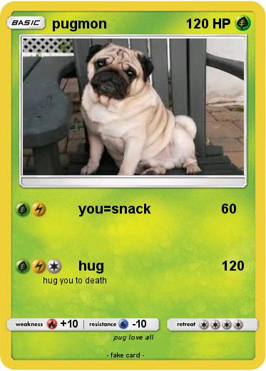 Pokemon pugmon
