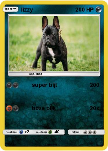 Pokemon lizzy